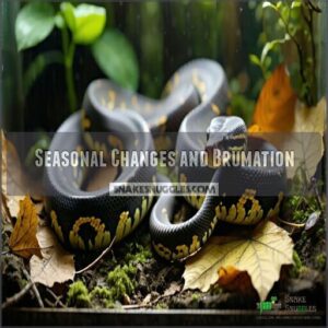 seasonal changes and brumation