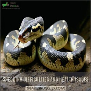 shedding difficulties and health issues