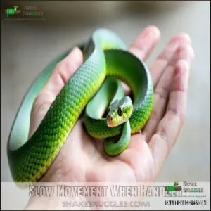 Slow Movement When Handled Slow Movement When Handled