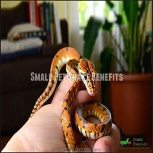 Small Pet Snake Benefits