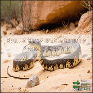 small pet snakes that stay small