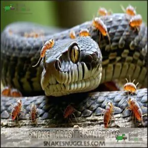 Snake Parasite Symptoms Snake Parasite Symptoms