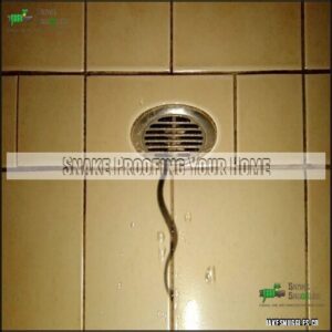 Snake Proofing Your Home