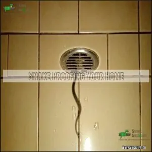 Snake Proofing Your Home Snake Proofing Your Home