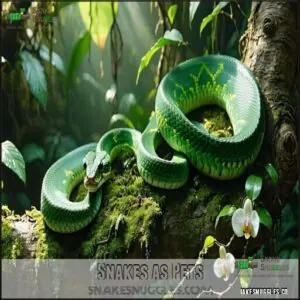 Snakes as Pets Snakes as Pets