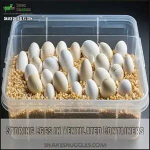 Storing Eggs in Ventilated Containers Storing Eggs in Ventilated Containers