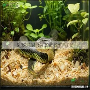 Substrate and Burrowing Substrate and Burrowing