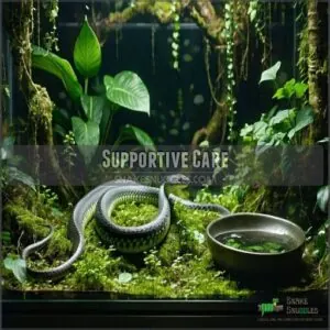 Supportive Care Supportive Care