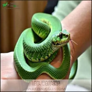 Tail Wagling Tail Wagling