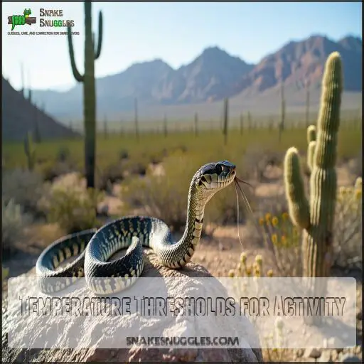 Picture of When Do Rattlesnakes Come Out? Seasonal Activity and Survival Tips