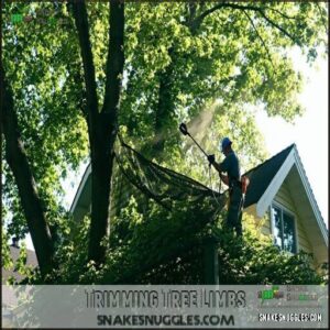 Trimming Tree Limbs