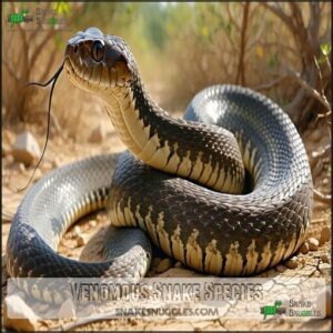 Venomous Snake Species