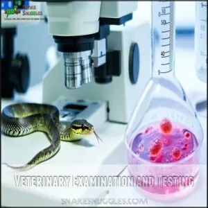 Veterinary Examination and Testing Veterinary Examination and Testing