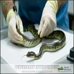 Veterinary Intervention Veterinary Intervention