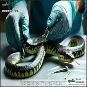 Veterinary Treatment Veterinary Treatment
