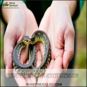 Western Hognose Snake Handling Western Hognose Snake Handling