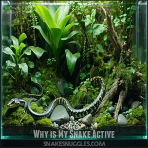 Why is My Snake Active Why is My Snake Active
