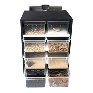 8PCS Reptile Feeding Box, Reptile B0CBKFN6Q7