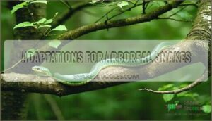 adaptations for arboreal snakes
