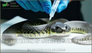 administration of lubricants and enemas