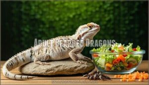 adult bearded dragons