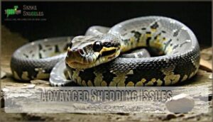 advanced shedding issues