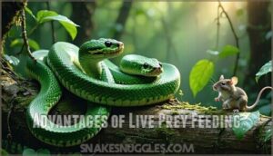 advantages of live prey feeding
