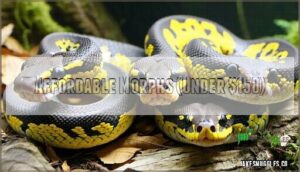affordable morphs (under $150)