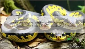 affordable morphs (under $150) affordable morphs (under $150)