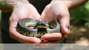 after-shed care and handling