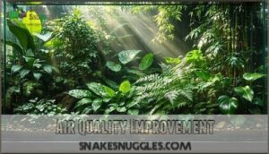 air quality improvement