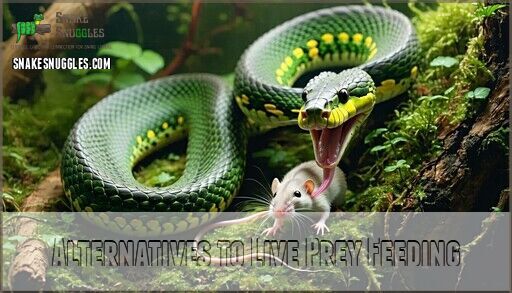 View of Feeding a Snake Live Prey: 7 Essential Facts Every Owner Must Know Now