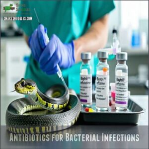 antibiotics for bacterial infections