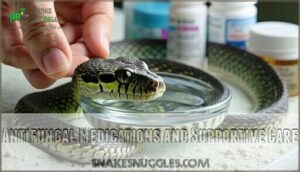 antifungal medications and supportive care