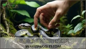avoiding fast movements avoiding fast movements