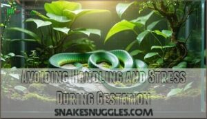 avoiding handling and stress during gestation