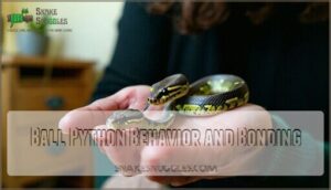 ball python behavior and bonding