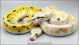 ball python morph price comparison ball python morph price comparison
