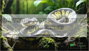 ball python pet information