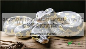 ball python price guide