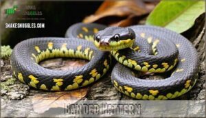 banded pattern