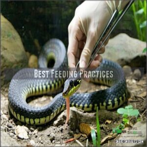 best feeding practices