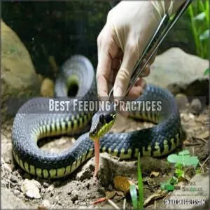 best feeding practices best feeding practices