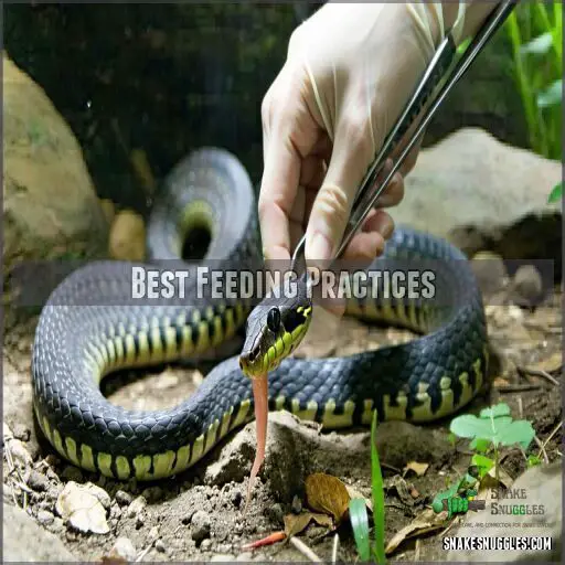 Image showcasing Proper Thawing Frozen Snake Food: Safe Methods and Common Mistakes