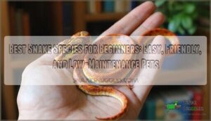 best snake species for beginners