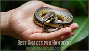 best snakes for handling