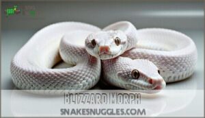 blizzard morph
