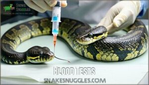 blood tests