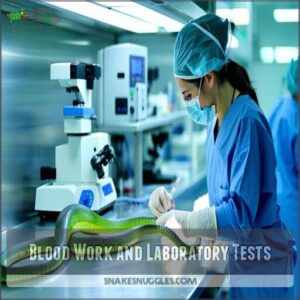 blood work and laboratory tests