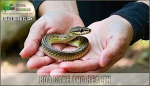 boa care and health